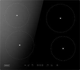 Induktionsfeld Reparatur Wittenberg